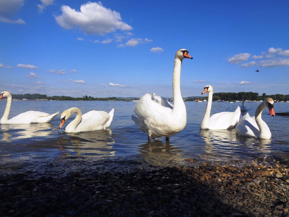 River Side Suites Belgrád Kültér fotó